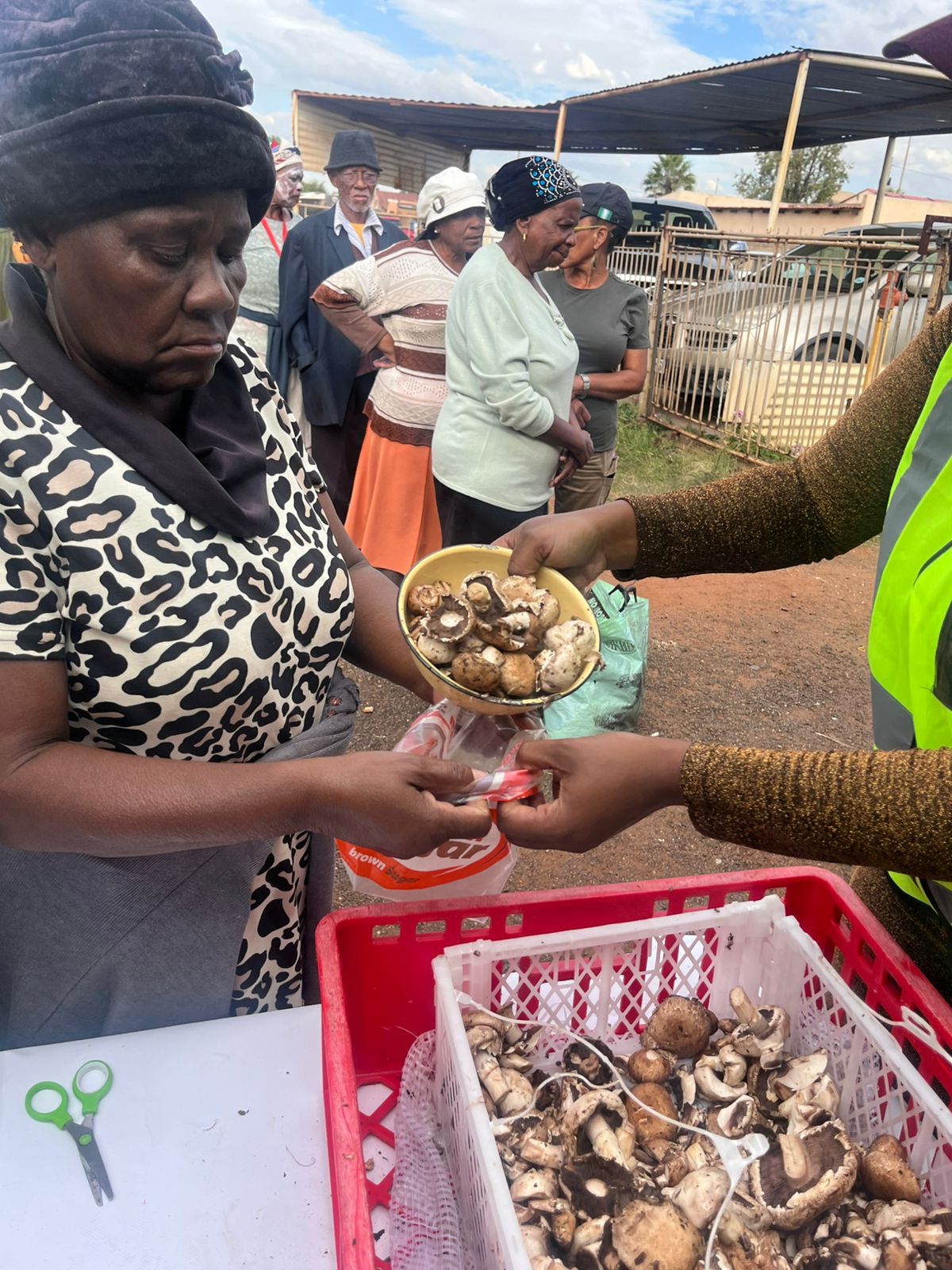 Kgothatso Foundation Gallery Image
